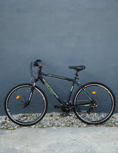 Lataa kuva Galleria-katseluun, ROCKSBIKE bicycle green/gray