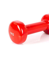 Load image into Gallery viewer, Vinyl Dumbbell 1 kg